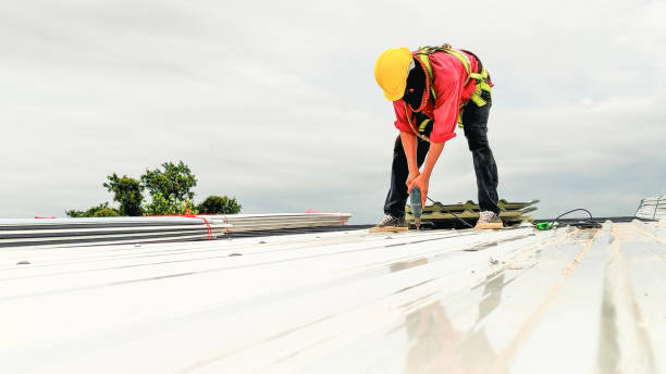 Best Roof Ventilation Installation  in Petoskey, MI