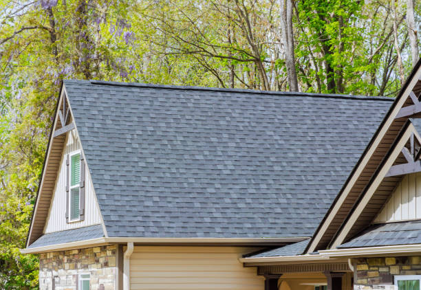 Best 4 Ply Roofing  in Petoskey, MI
