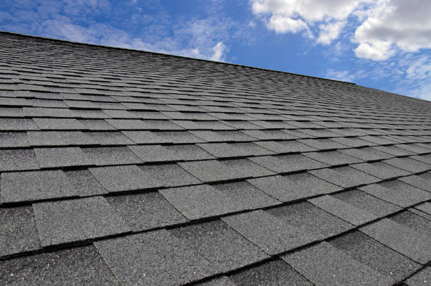 Best Solar Panel Roofing Installation  in Petoskey, MI